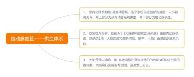 脑血管解剖思维导图,满满的干货!