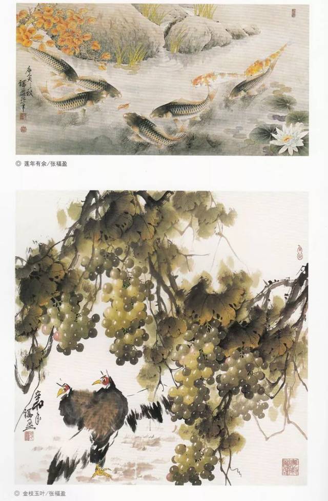 张福盈 画葡萄