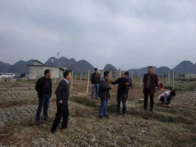 副县长宋邦达到羊场乡调研指导坝区建设工作