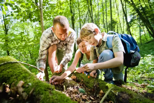 新西兰"少儿自然科学"探索 营地教育亲子互动营