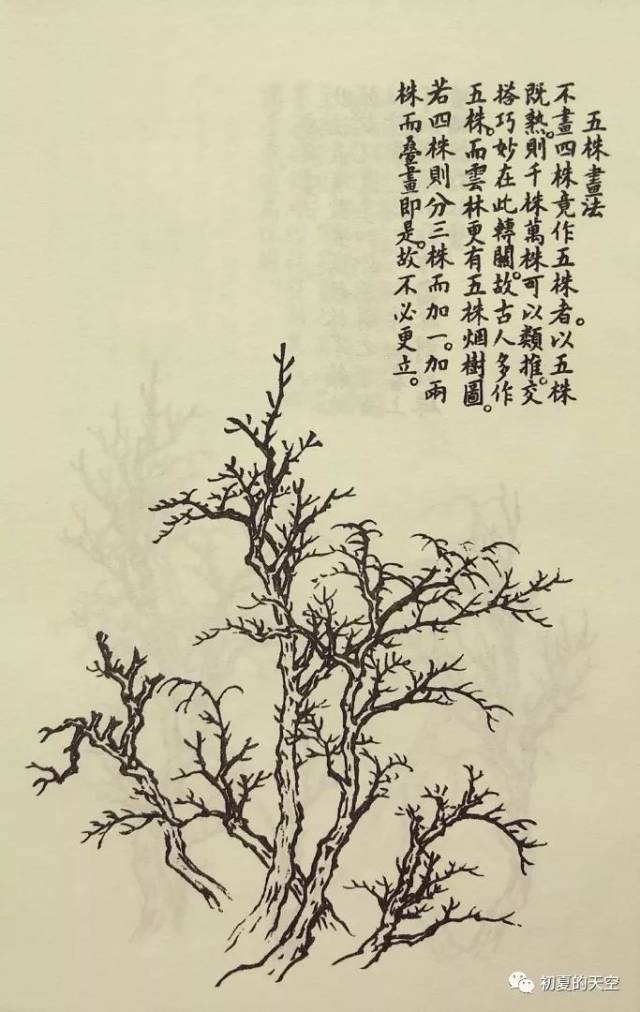 《芥子园画谱》奠基现代盆景的"中国风"(二)