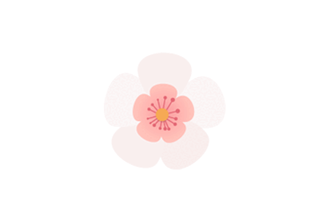 南湖梅花节门票来了!_手机搜狐网