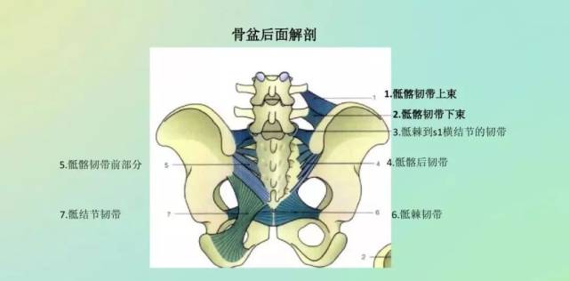 自体髂后上棘骨移植在全髋关节置换术后髋臼松动翻修术中的应用