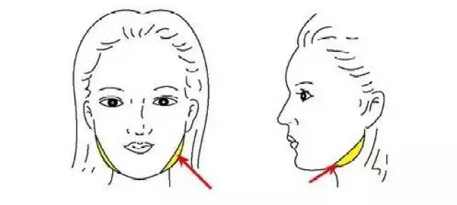 紧闭双唇,咬紧牙关,用手摸牙关靠近脸颊两侧,如果有又硬又大的肌肉,那