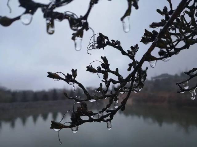 雨雪交加,破历史同期纪录!余姚雨雪天何时才到头?