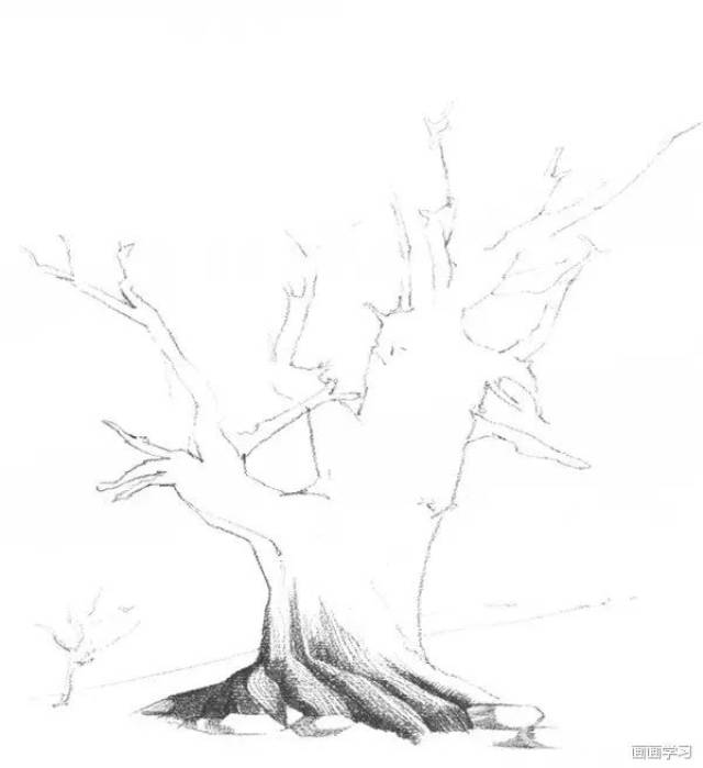 素描教程丨教你怎样画树,超详细教程,不看白不看