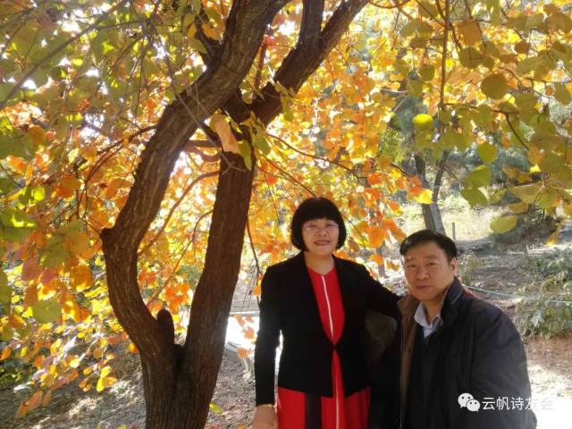 【英子评诗】第102辑:高山流水共题诗——赏评刘庆霖,王海娜诗词(上)
