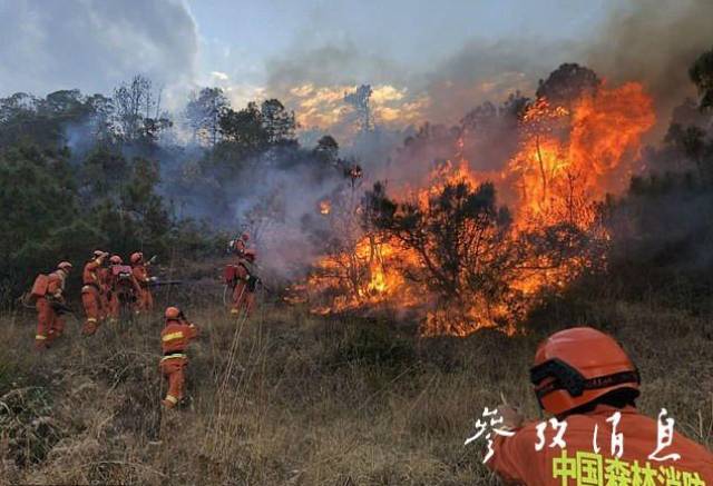 视界| 中国消防员灭火后累倒在地的照片感动英媒:"这才是英雄!