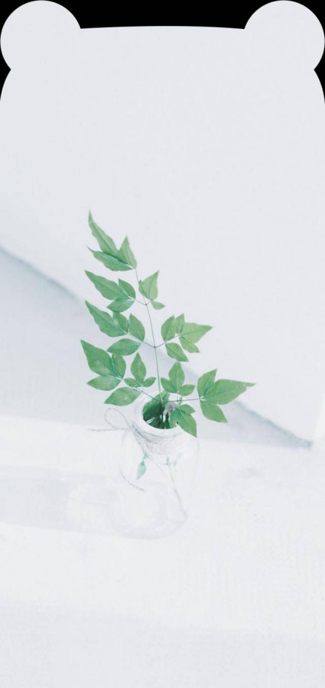小清新耳朵壁纸