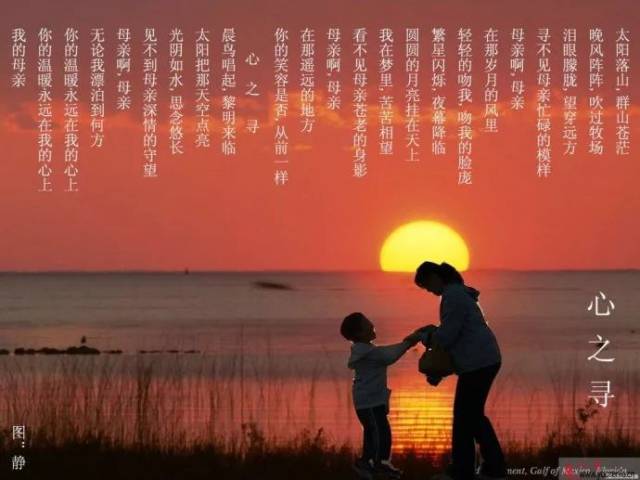 【歌曲欣赏】阿紫作词《心之寻》作曲:斯琴朝克图 演唱:格格