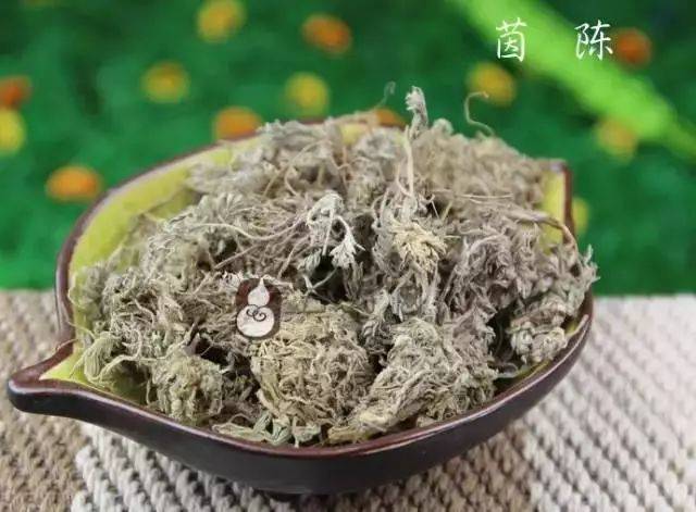 三月茵陈四月蒿,传于后人切记牢.三月茵陈治黄痨,四月青蒿当柴烧.