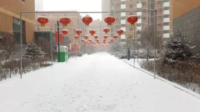 等了一冬天,大同终于下雪了,2019第一场雪(视频 多图),刷爆朋友圈!