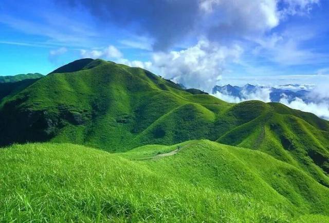 萍乡景区以武功山最典的高山草甸为,一般来武功山徒步,赏景的游客