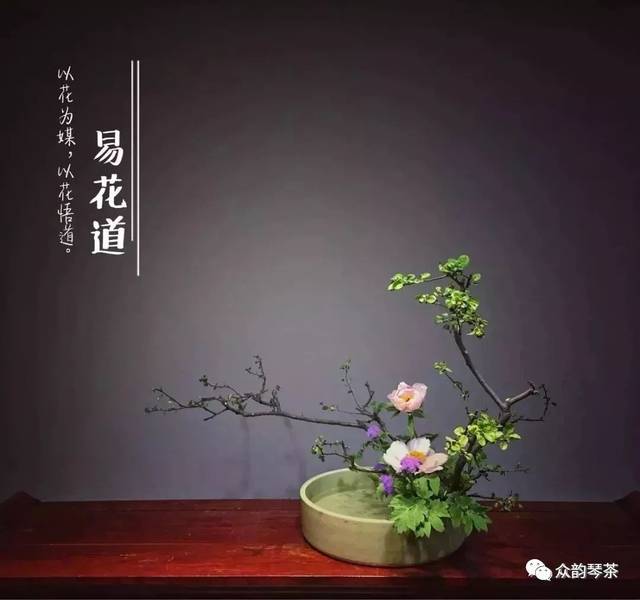 以花的名义,喜迎春意丨韵舍·易花道【开课了】