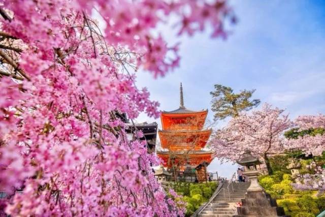 超变网页传奇世界新上线!光赏樱就满足了?这种私家深度玩法才够值啊!