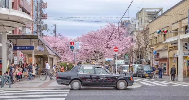 超变网页传奇世界新上线!光赏樱就满足了?这种私家深度玩法才够值啊!