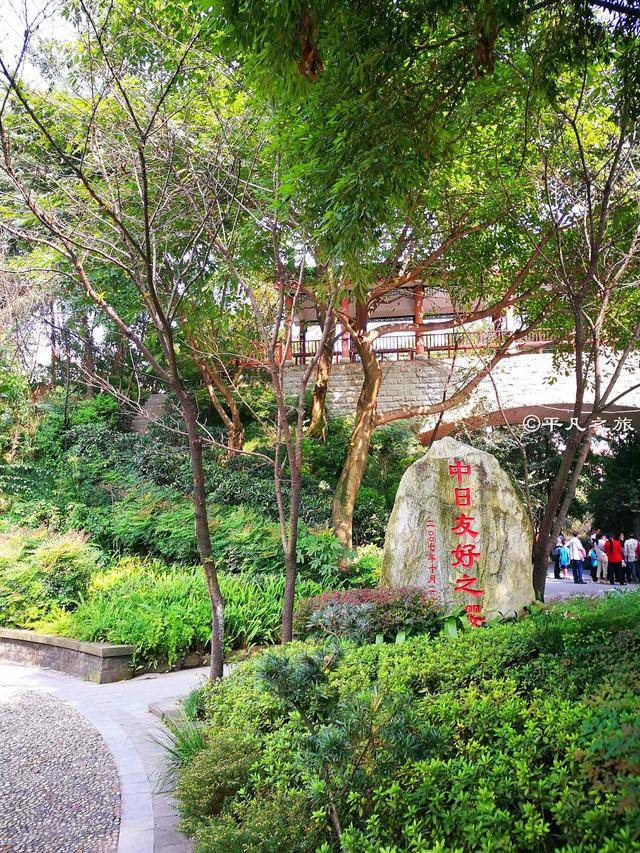 中华美德公园:中日在此合种友好樱花林,园中有重庆最美步道
