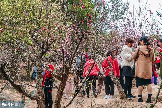 今天的桃红缱绻来一波~~~ 巨峰禅寺  巨峰寺位于汕头市濠江区珠浦东侧