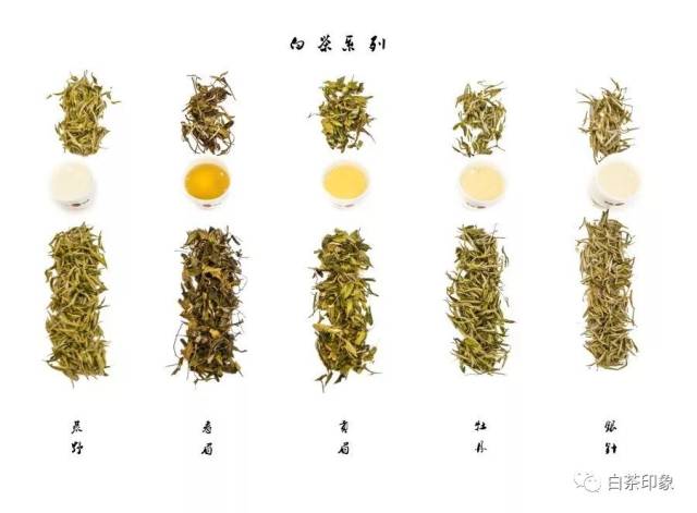 福鼎白茶福鼎白茶,白茶类,主产于福建省福鼎地区,系六大茶类之一