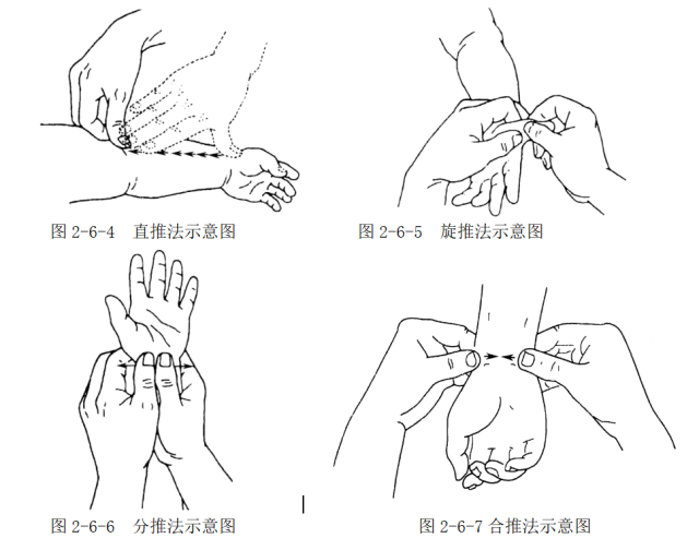 旋推法 术者用拇指螺纹面在穴位上做螺旋形推动(图2-6-5),频率为每