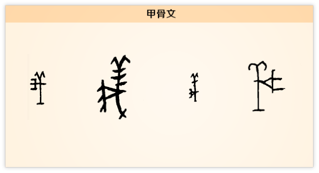 汉字解读【每日一字】义:舍生而取义