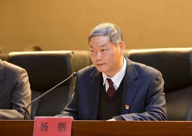 在召开的全体党员代表会议上,市委宣传部副部长杨鹏发表讲话.