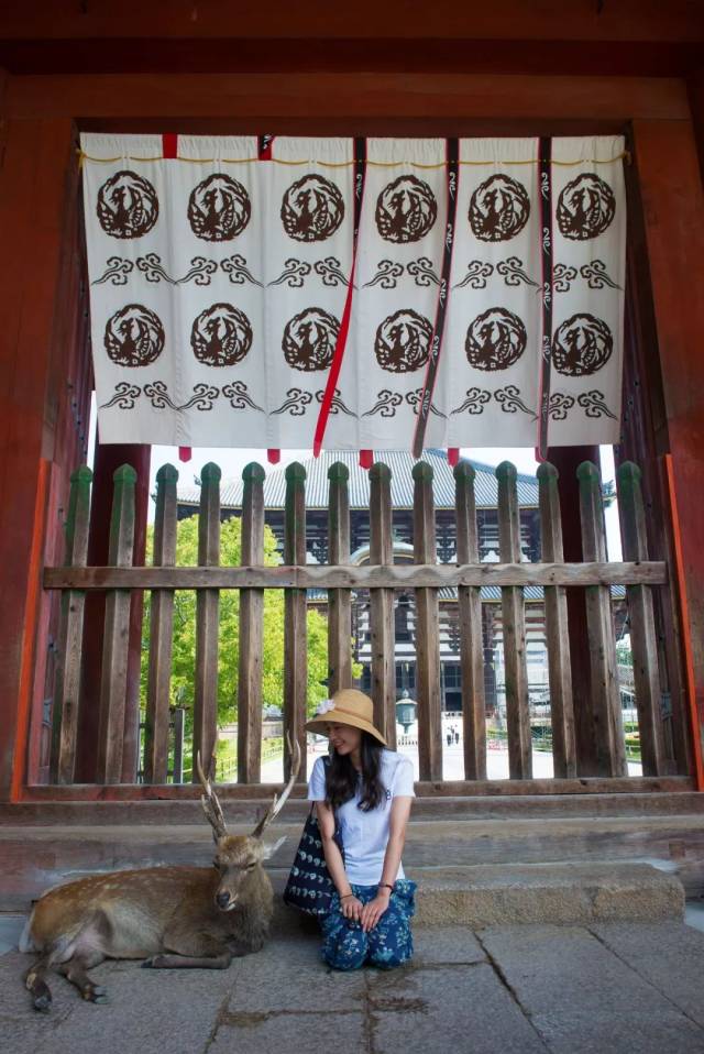 超变网页传奇世界新上线!光赏樱就满足了?这种私家深度玩法才够值啊!