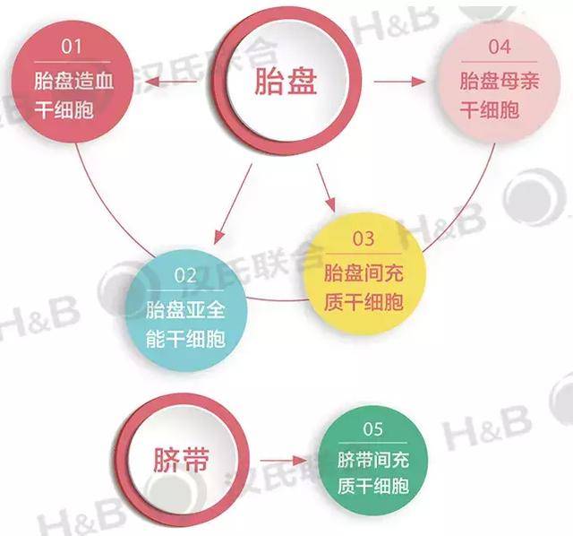 胎盘干细胞医学博士告诉你应该如何存上