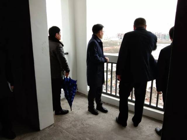 昨天,县长祁从峰来到上冈这些地方.