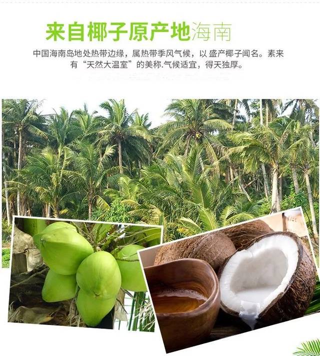 元宵带"椰子姑娘"到饭局,一定会大赞距清纯!