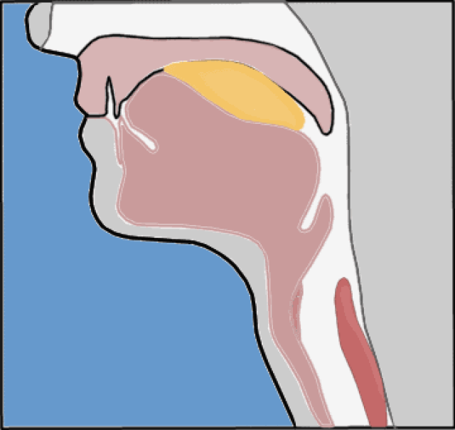 捏宝宝鼻子来灌药,真的好吗?
