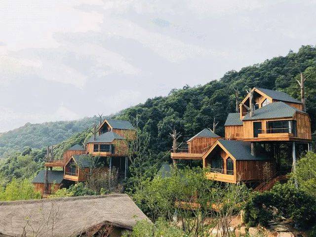 7亿!杭州惊现「城堡度假村」,森林树屋,恒温水