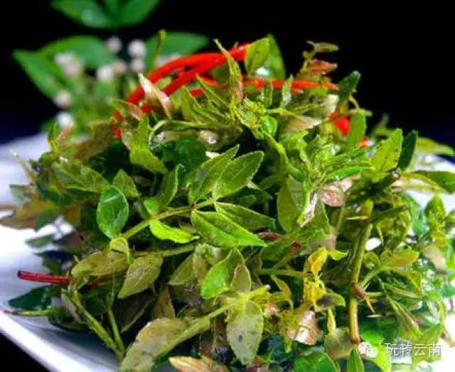 大巢菜 大巢菜为豆科植物大巢菜的嫩茎叶, 又名野苕子,薇菜,野豌豆等