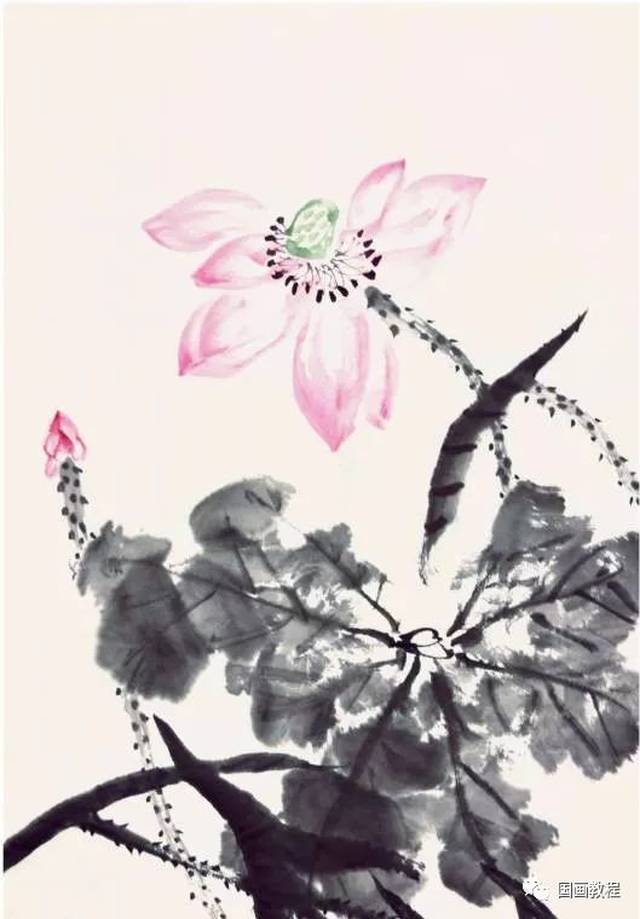 如何画好荷花?一学就会的基础画法