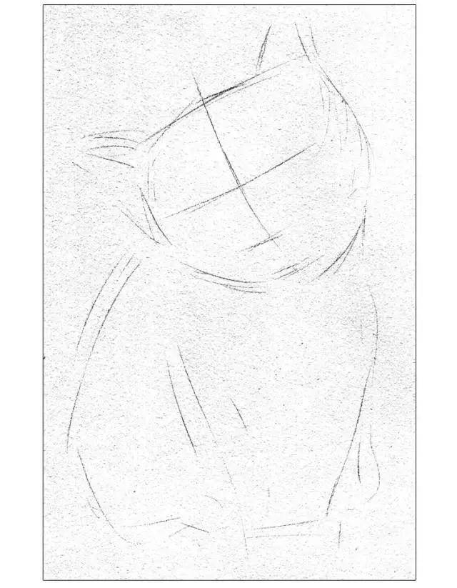 小央美美术:零基础学素描|猫咪素描步骤详解!