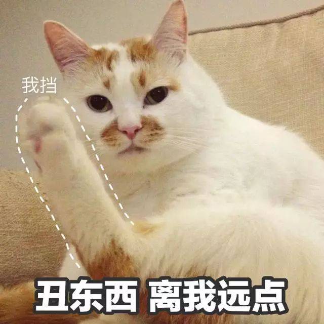 丑东西,离我远点