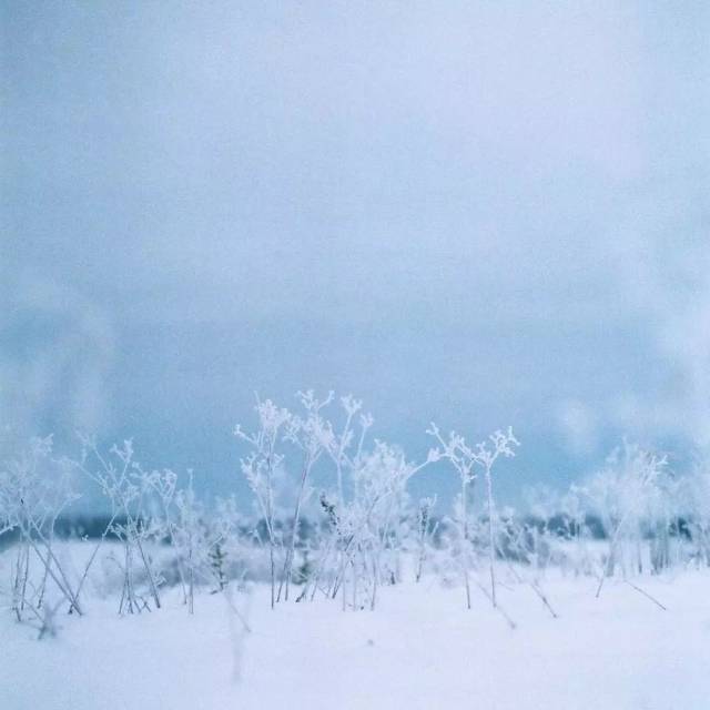 晴空,少女与雪,日本摄影师镜头下的凛冬,实在是美如画!