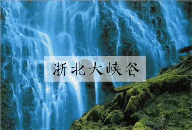 【度假】四季有风景 安吉在等你 花筑·那山那舍 299元周末不加价
