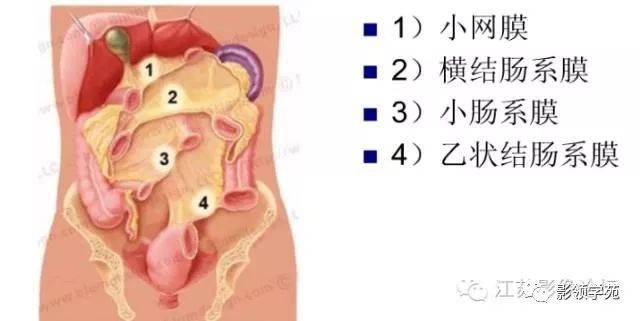 腹膜及肠系膜病变影像学分析