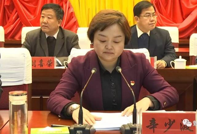 辛少波主持召开全县脱贫攻坚领导小组2019年第二次会议