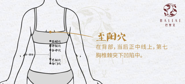 穴位名称:至阳穴 所属络:督脉 穴位位置:在背部,当后正中线上,第