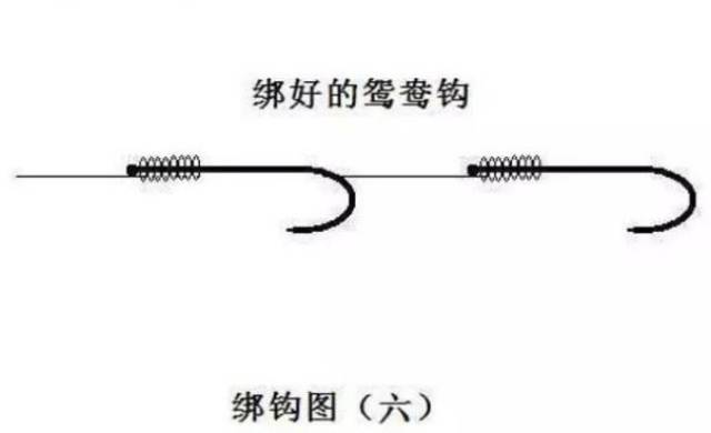 【钓鱼技巧】鸳鸯钩的绑法,代替单钩成为垂钓的利器
