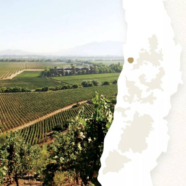 年度最佳新世界图书大奖作品《智利名酒庄:十