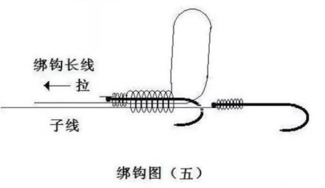 【钓鱼技巧】鸳鸯钩的绑法,代替单钩成为垂钓的利器