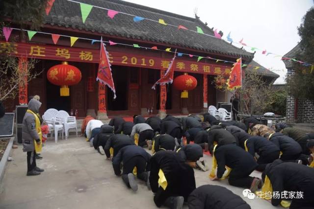 2019庄坞杨氏祭祖大典纪实