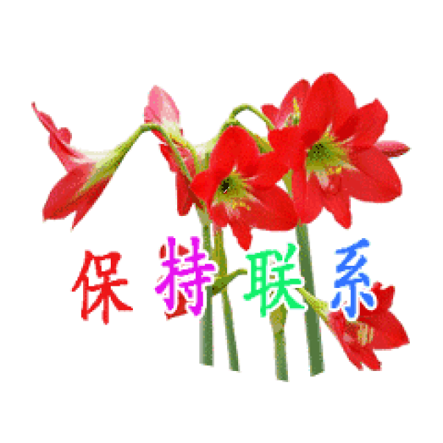 不用打字微信图片 免打字就可以聊天的动态表情图大全