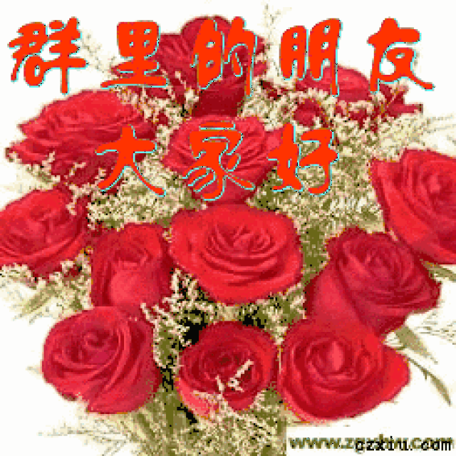 不用打字微信图片 免打字就可以聊天的动态表情图大全