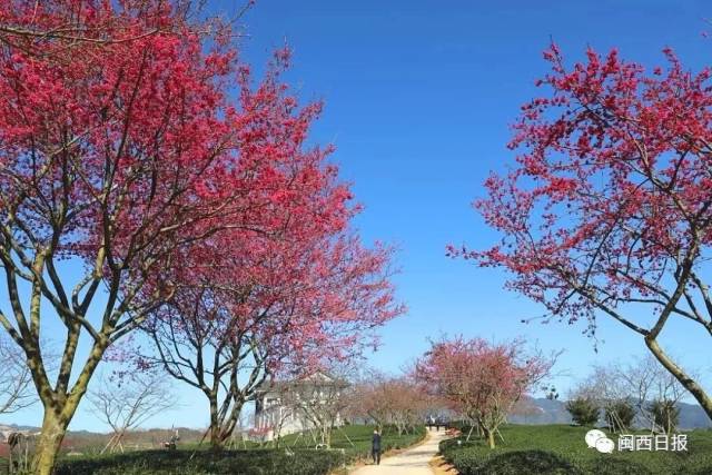 ������Ѷح���Ҹ��أ��С�����2018���˾�GDP��¯�����ǳ�͡�ص�