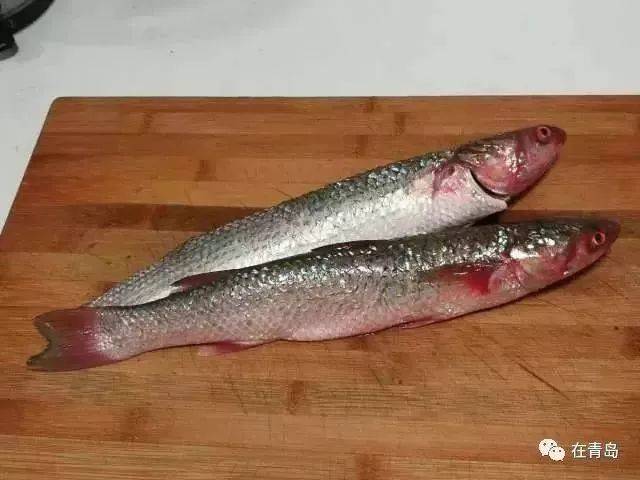 青岛开春第一鲜!错过要等下一年!最全吃法都在这...