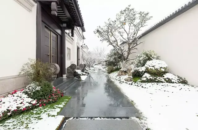 杭州滨江盛元湘湖里 | 瑞雪倾盖不遮彩,一路繁花迎春来